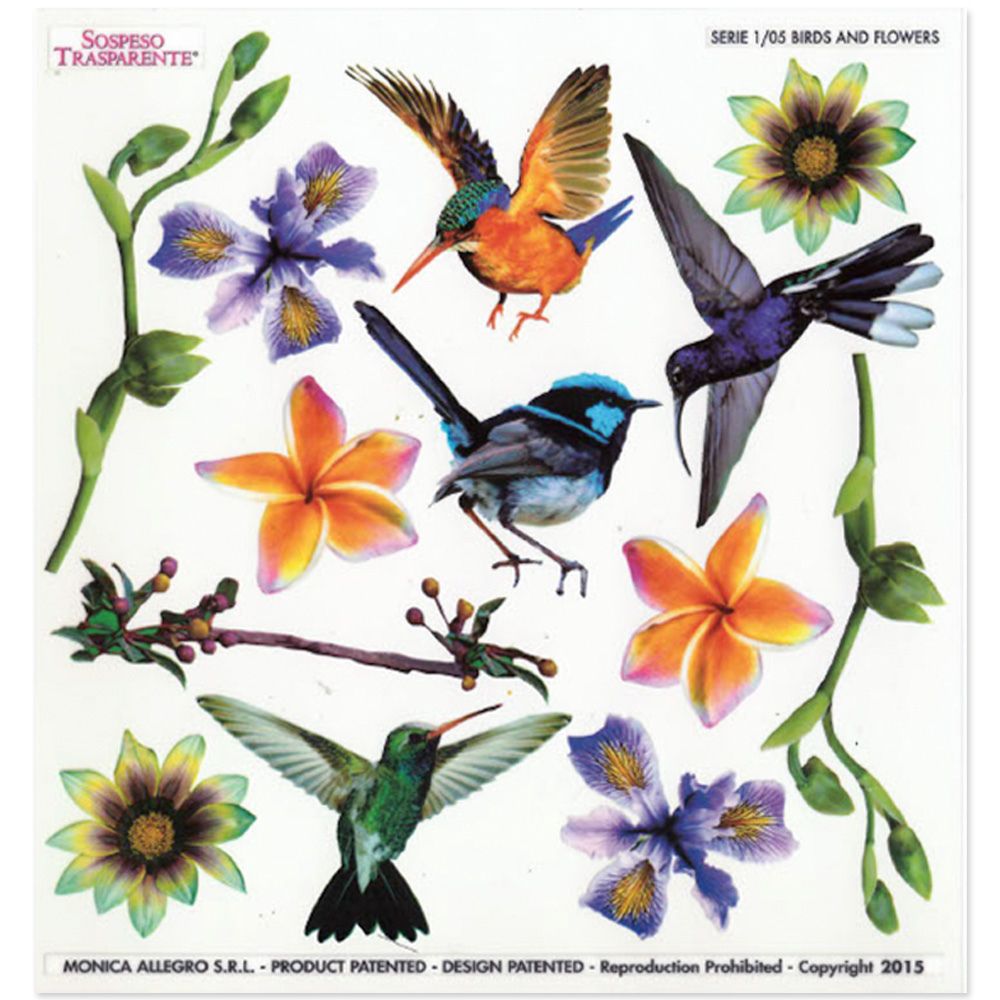 Sospeso Trasparente Birds & Flowers Thermoformable Film