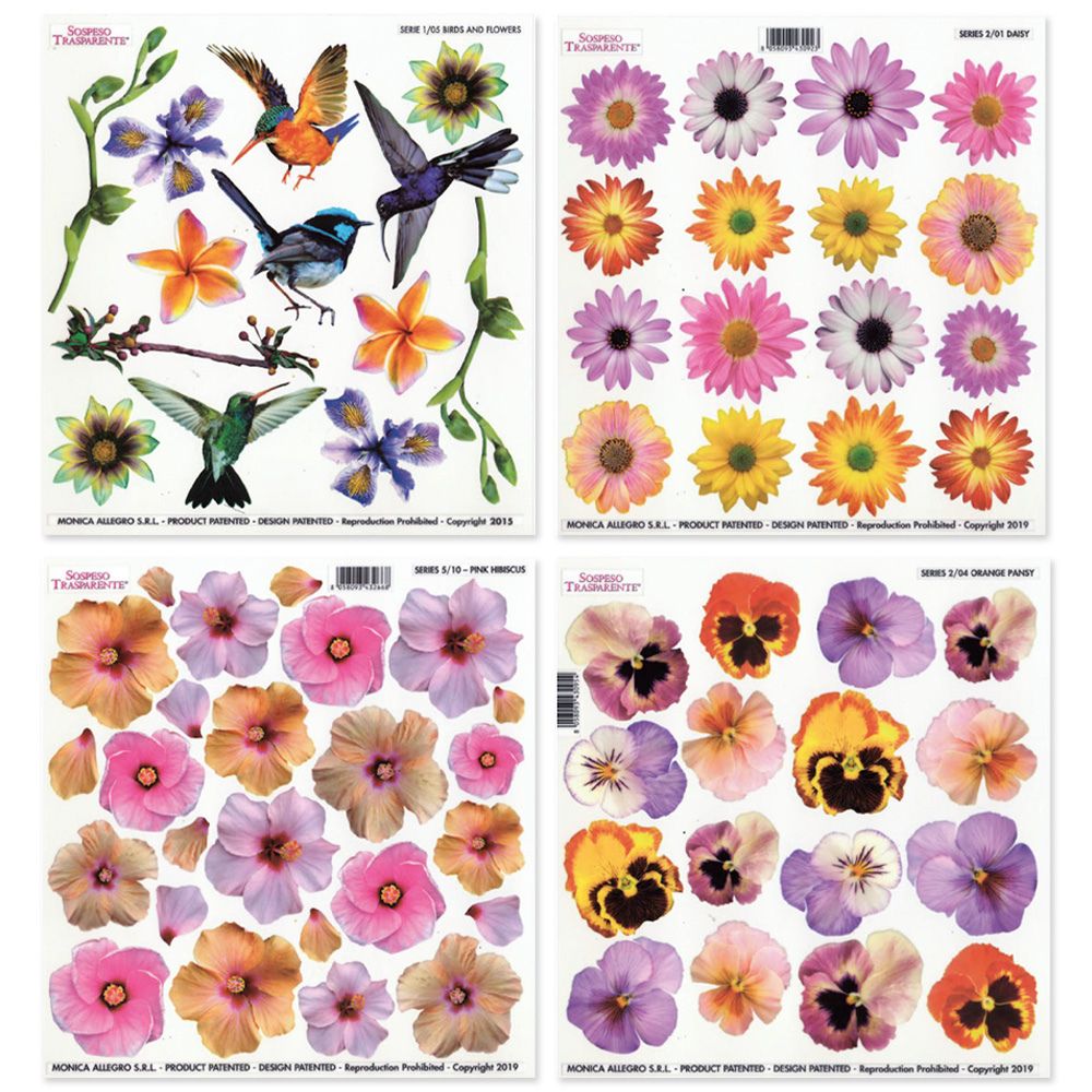 Sospeso Trasparente Hibiscus Thermoformable Film bundle