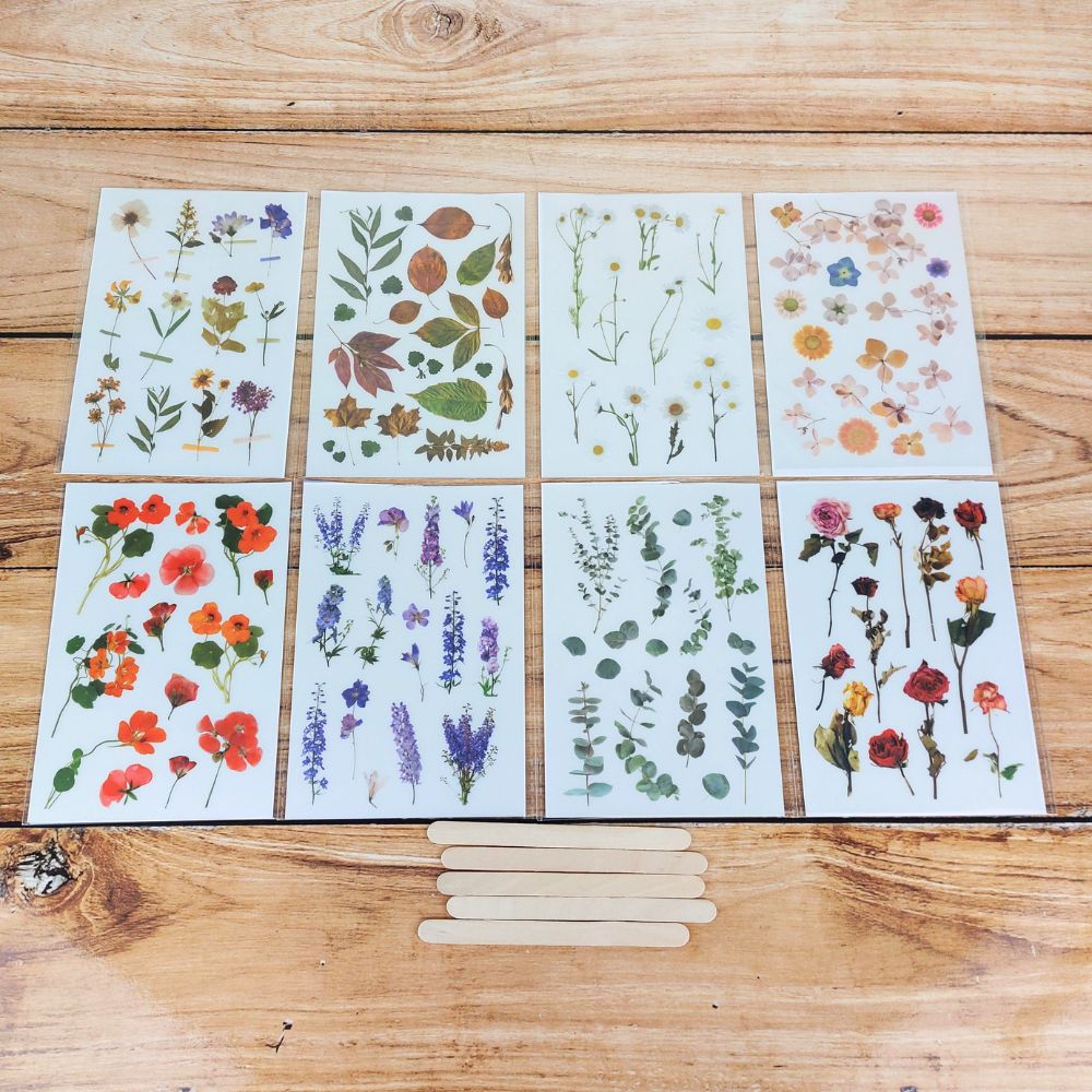 Flower Transfer Stickers Transfer Sticker Set - Dried Florals - 16 Sheets - Highlight Crafts