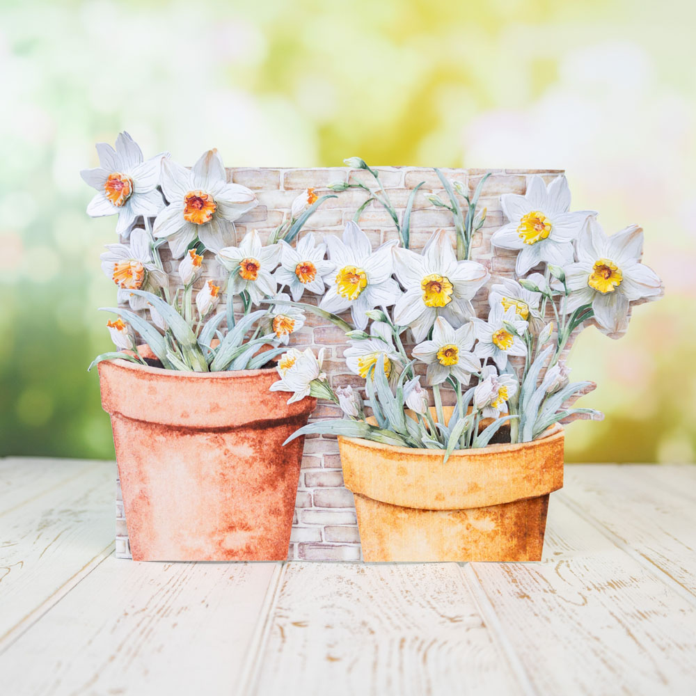 Two Red Robins Flower of the Month Daffodil Die + SVG & Artwork Download Bundle - Image 10