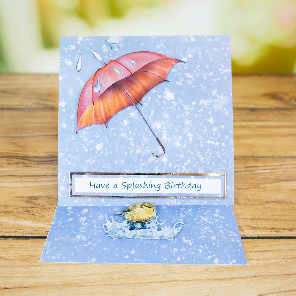 Two Red Robins Rainy Days Die + SVG & Artwork Download Bundle - Image 11