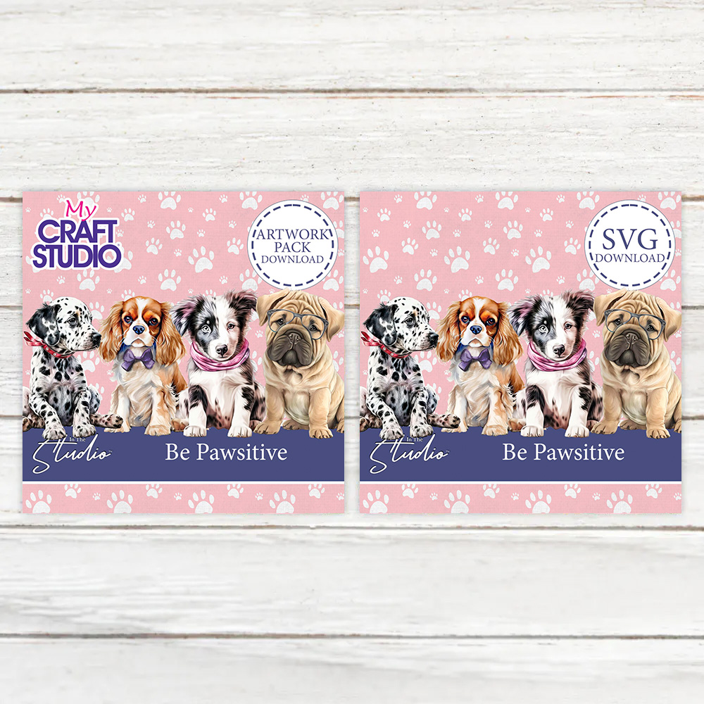In The Studio Be Pawsitive SVG & Artwork Downloads Bundle