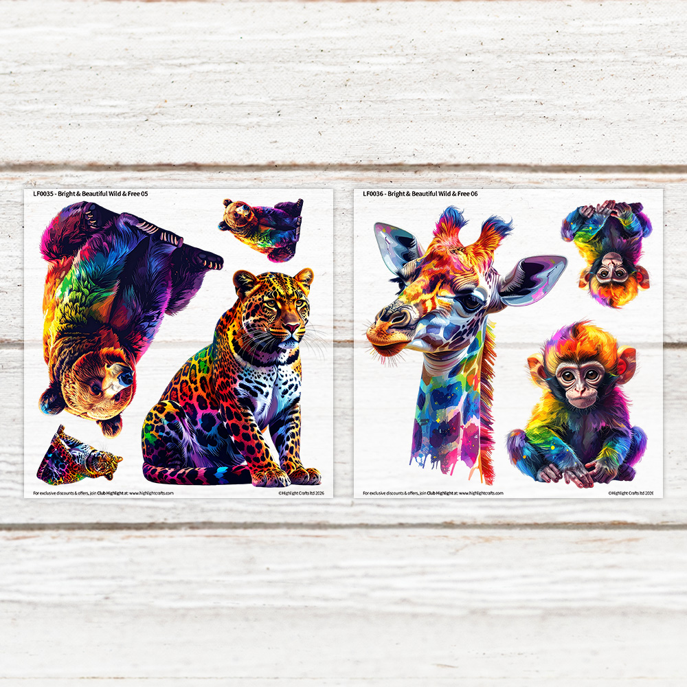 Highlight Luxe Bright & Beautiful Wild & Free 5 & 6 Heat Transfer Sheet Bundle