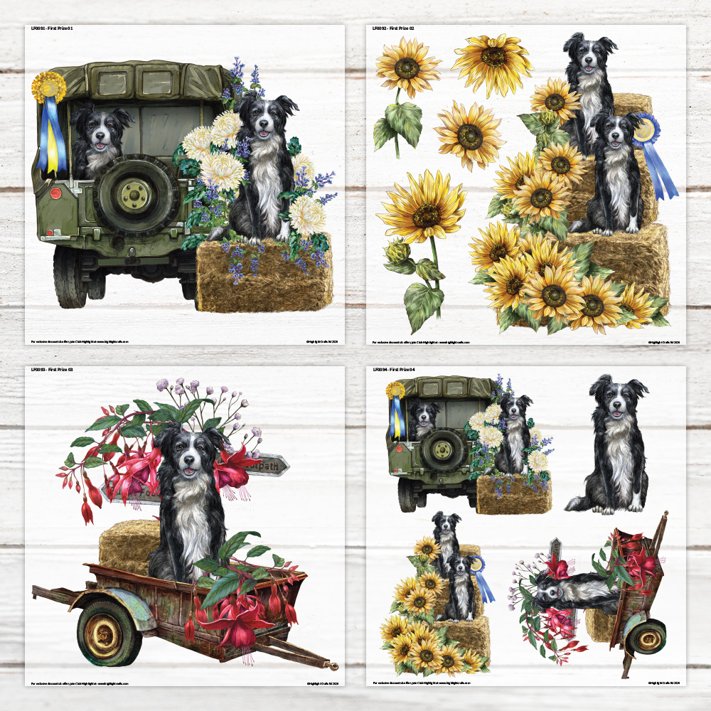 Highlight Luxe First Prize Large Heat Transfer Sheet Bundle