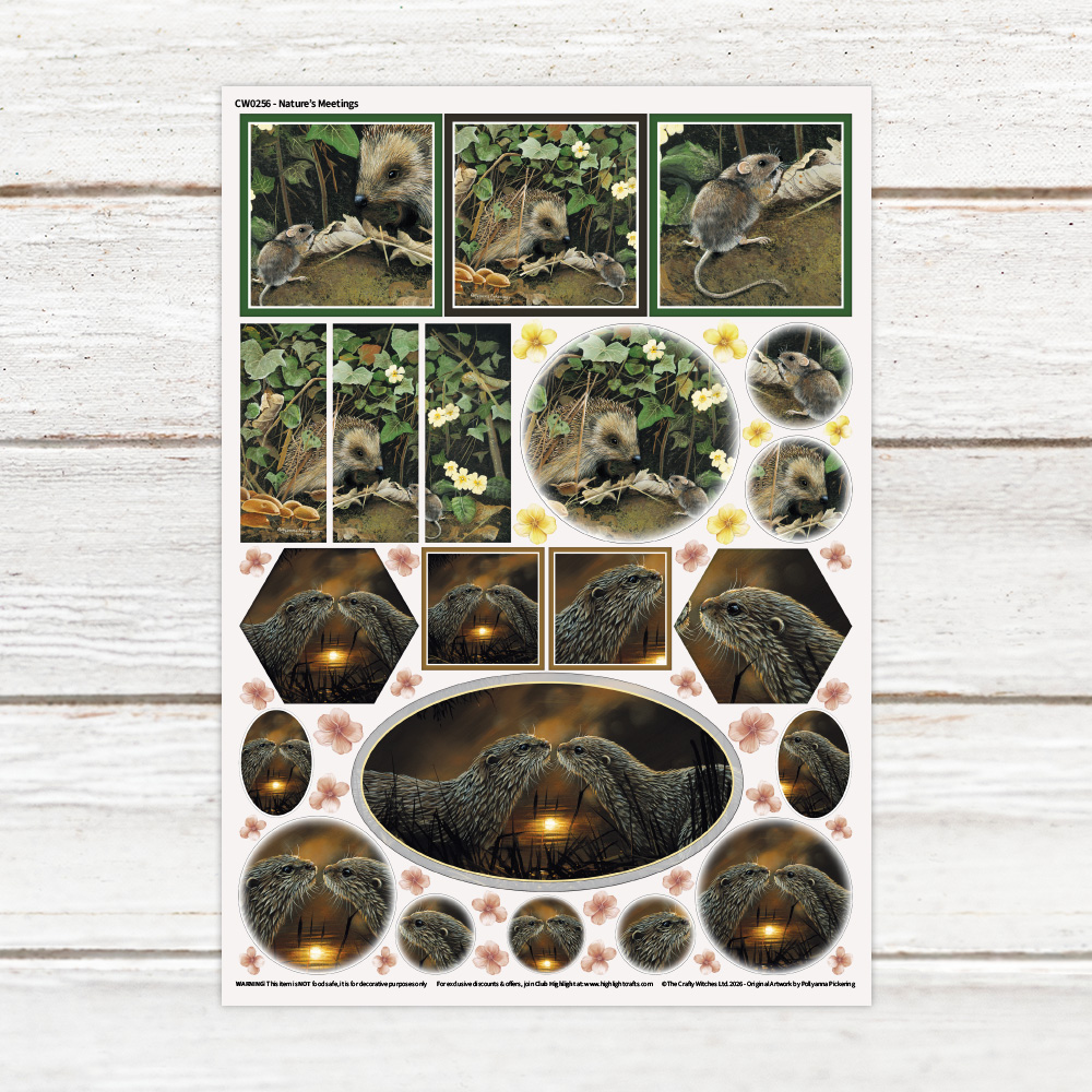 Pollyanna Pickering Nature's Meetings Luxe Decal Sheet