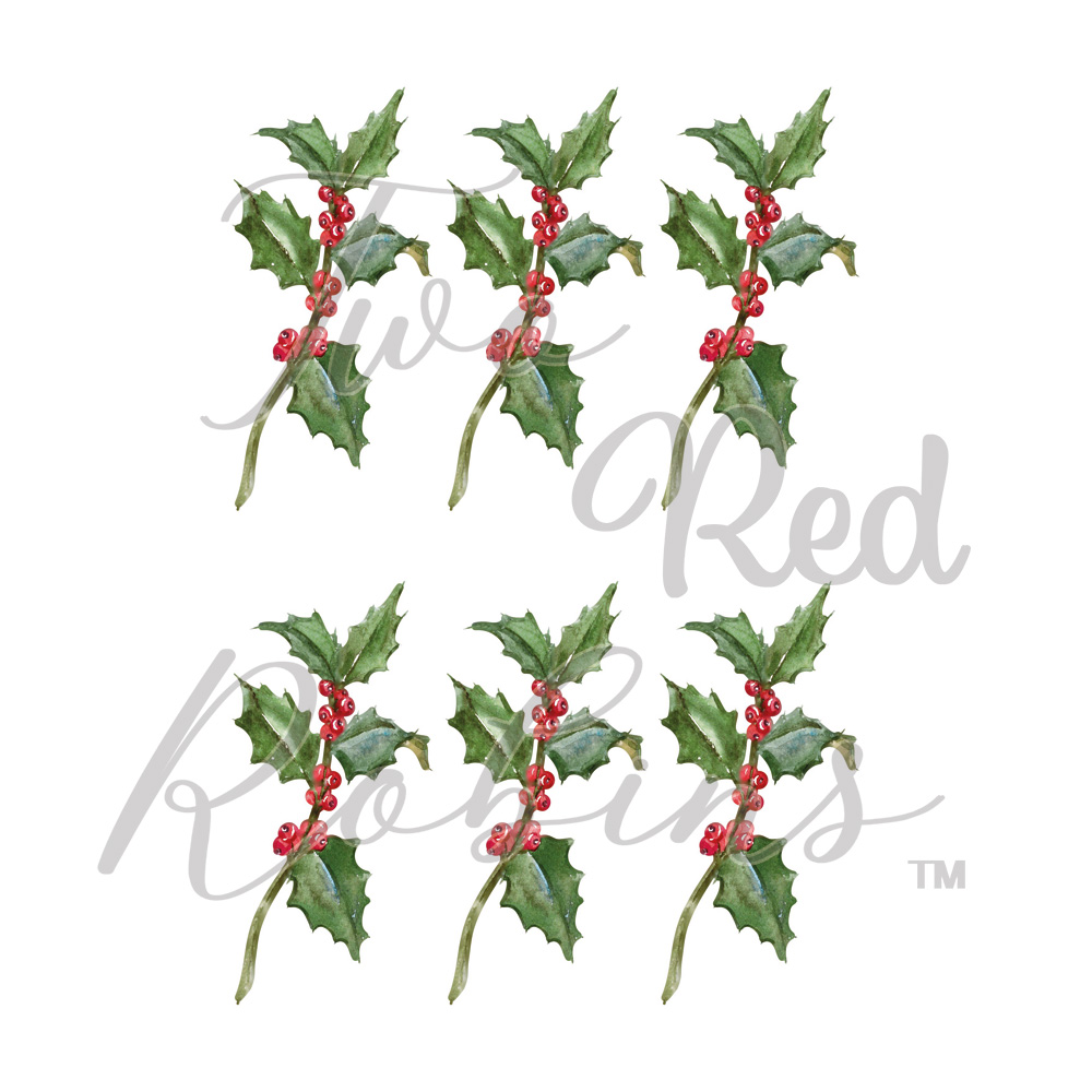Two Red Robins Holly Sprig Reflections Download