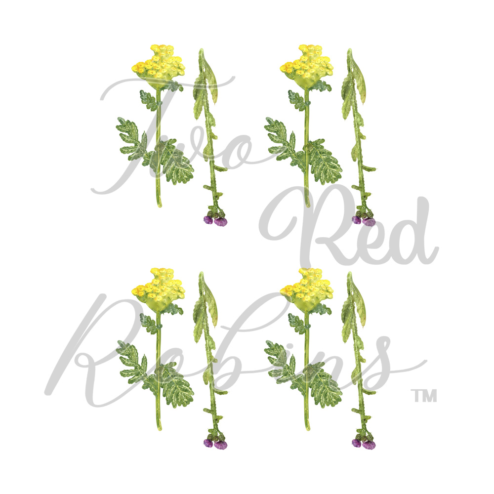 Two Red Robins Tansy & Thistle Reflections Download