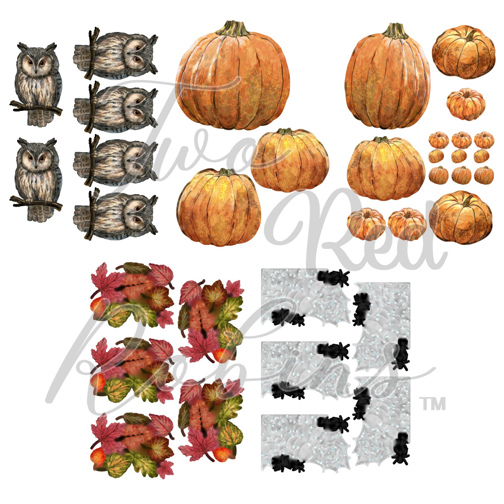 Two Red Robins Amber Glow Reflections Download Bundle