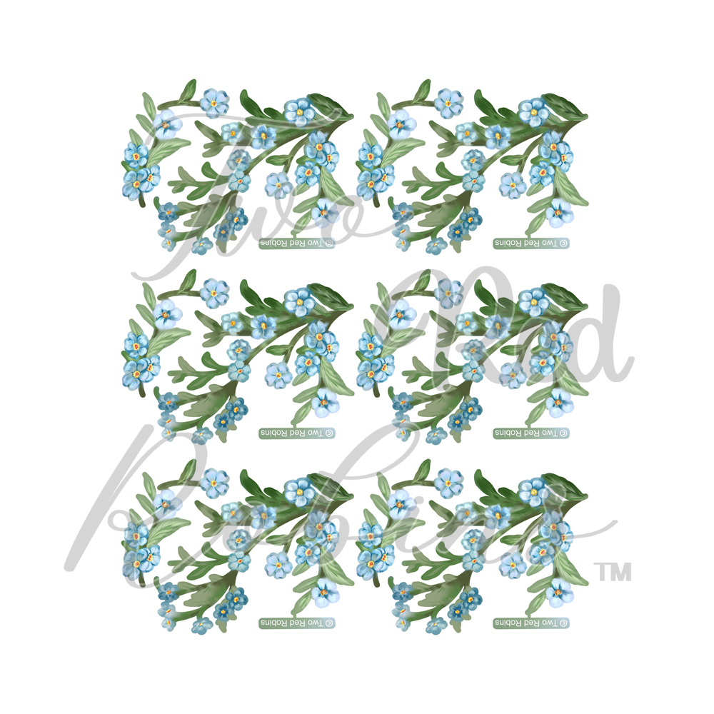 Two Red Robins Forget-Me-Nots Reflections Download