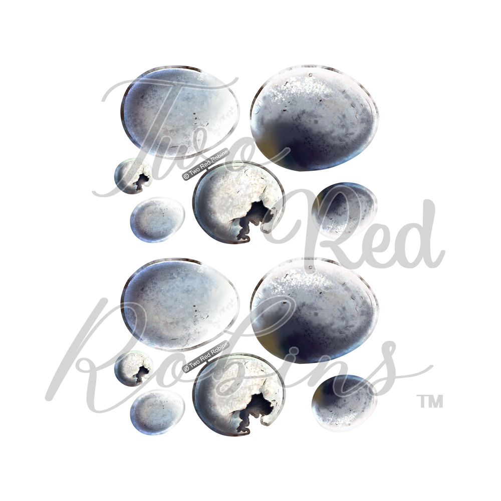 Two Red Robins Cracked Reflections Download