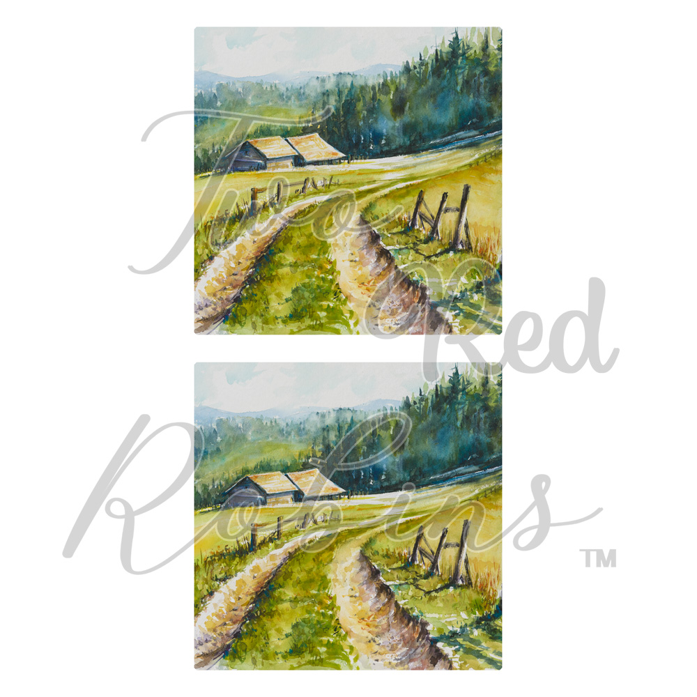 Two Red Robins Farmer's Field Reflections Download