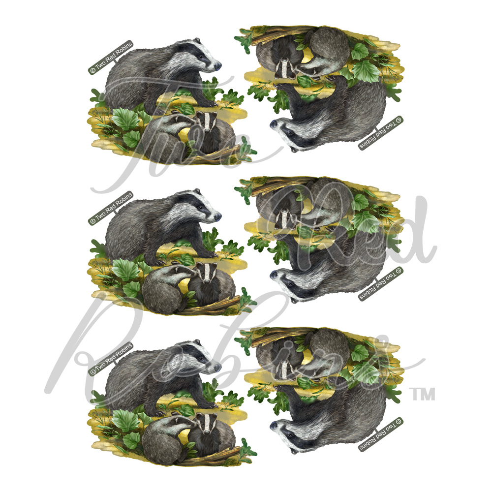 Two Red Robins Our Little Clan Reflections Download