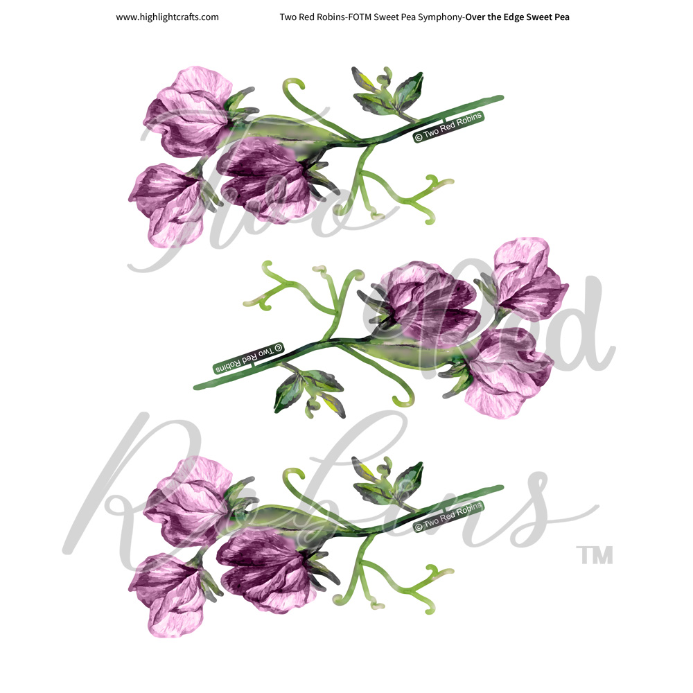 Two Red Robins Over The Edge Sweet Pea Reflections Download 4