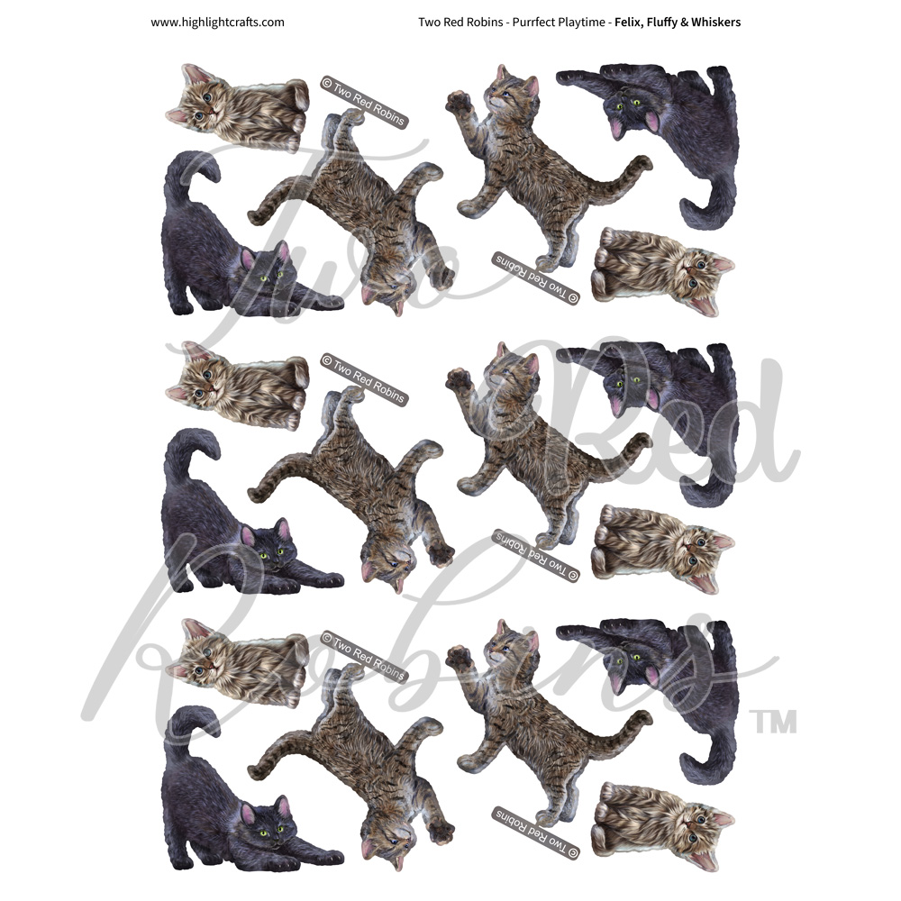 Two Red Robins Felix, Fluffy & Whiskers Reflections Download 1