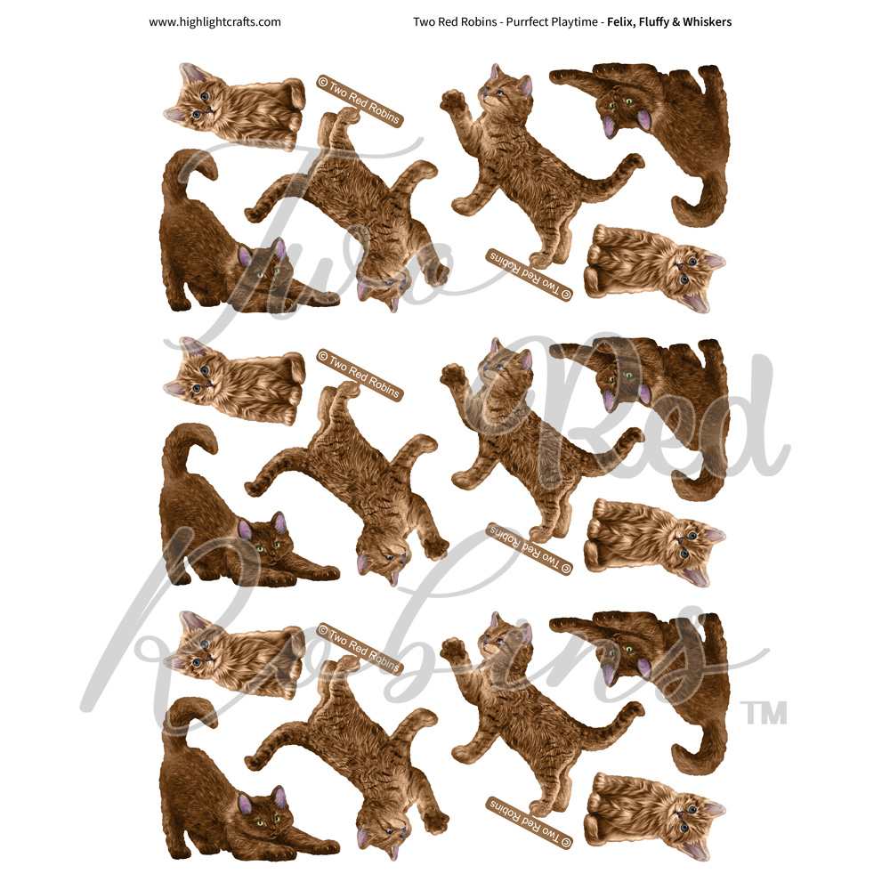 Two Red Robins Felix, Fluffy & Whiskers Reflections Download 3