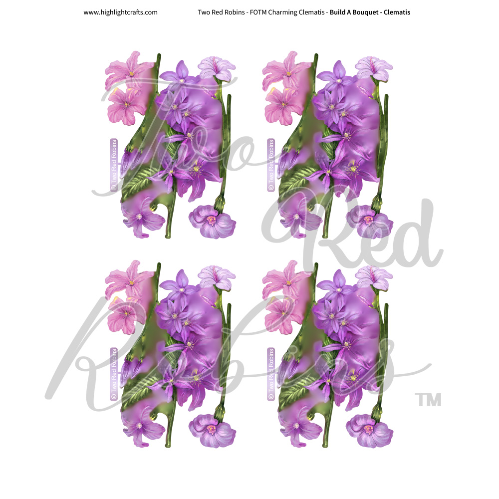 Two Red Robins Build A Bouquet Clematis Reflections Download 4