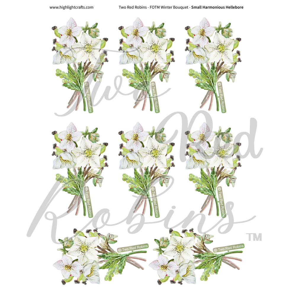Two Red Robins Small Harmonious Hellebore Reflections Download 3