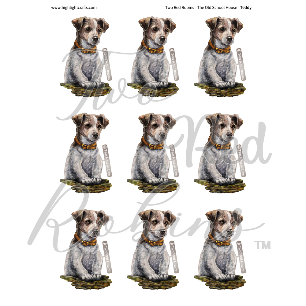 Two Red Robins Teddy Reflections Download 2