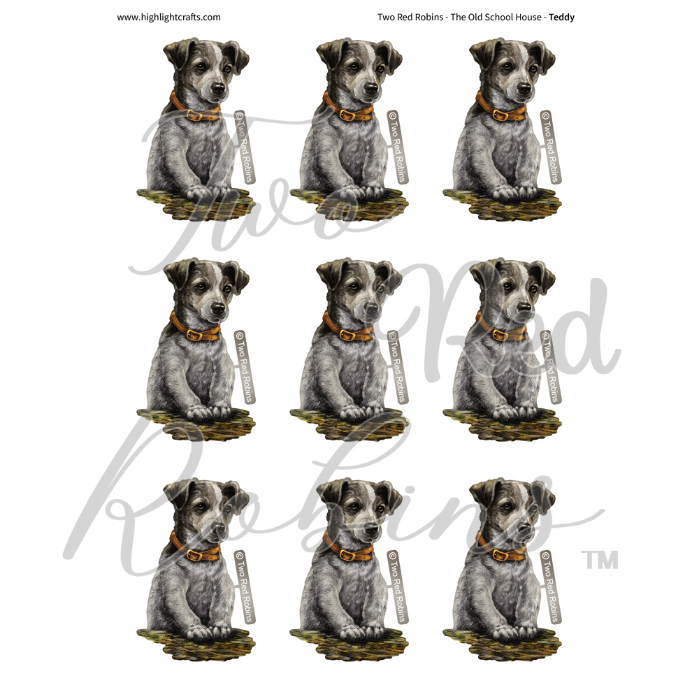 Two Red Robins Teddy Reflections Download 3