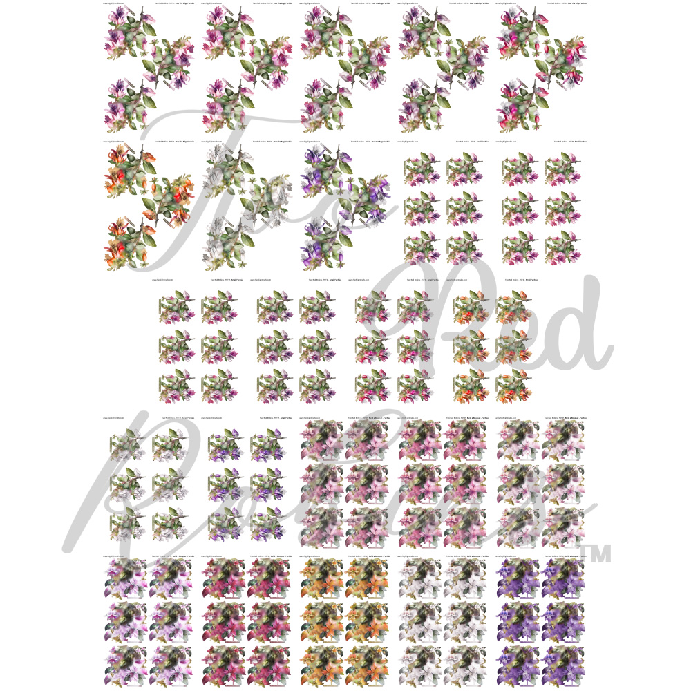 Two Red Robins Flower of the Month Fuchsia Reflections Additional Colourways Download Bundle