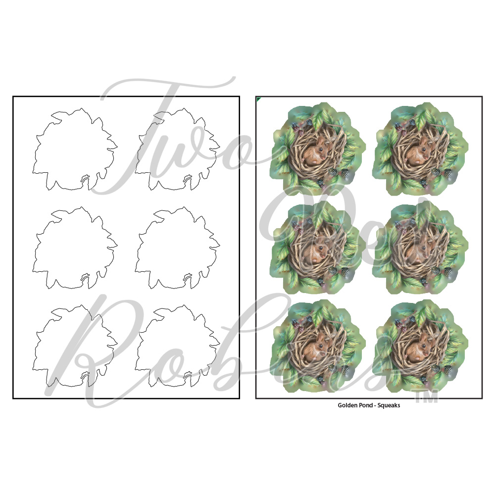Two Red Robins Squeaks SVG & Reflections Download