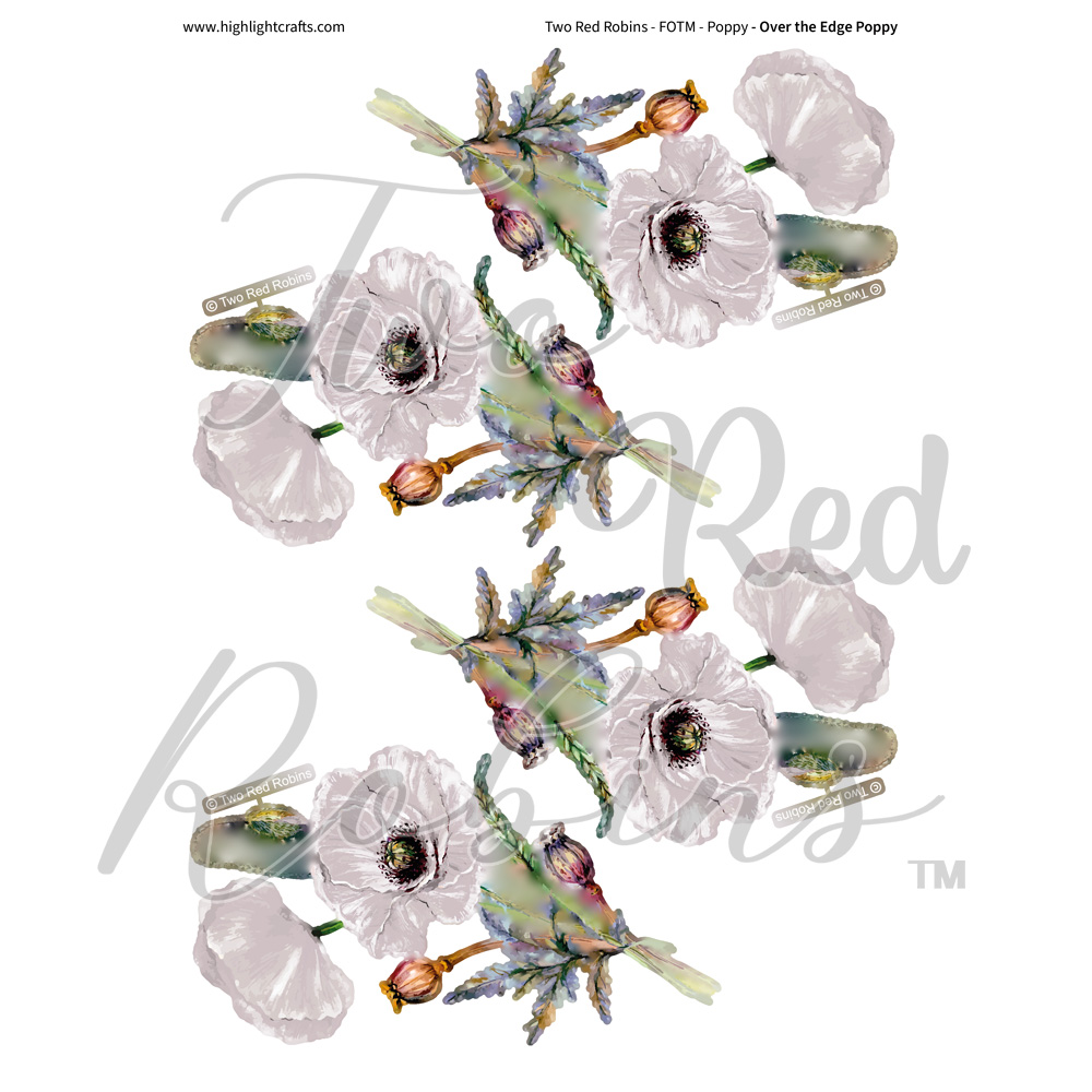 Two Red Robins Over the Edge Poppy Reflections Download 08