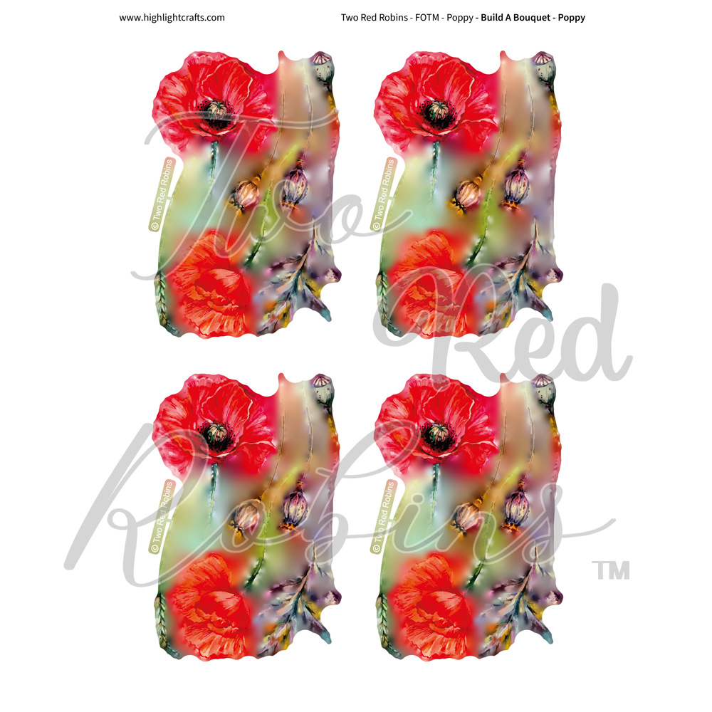 Two Red Robins Build a Bouquet Poppy Reflections Download 01