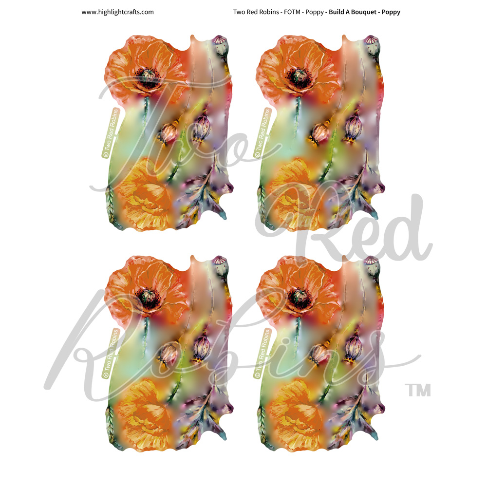 Two Red Robins Build a Bouquet Poppy Reflections Download 02