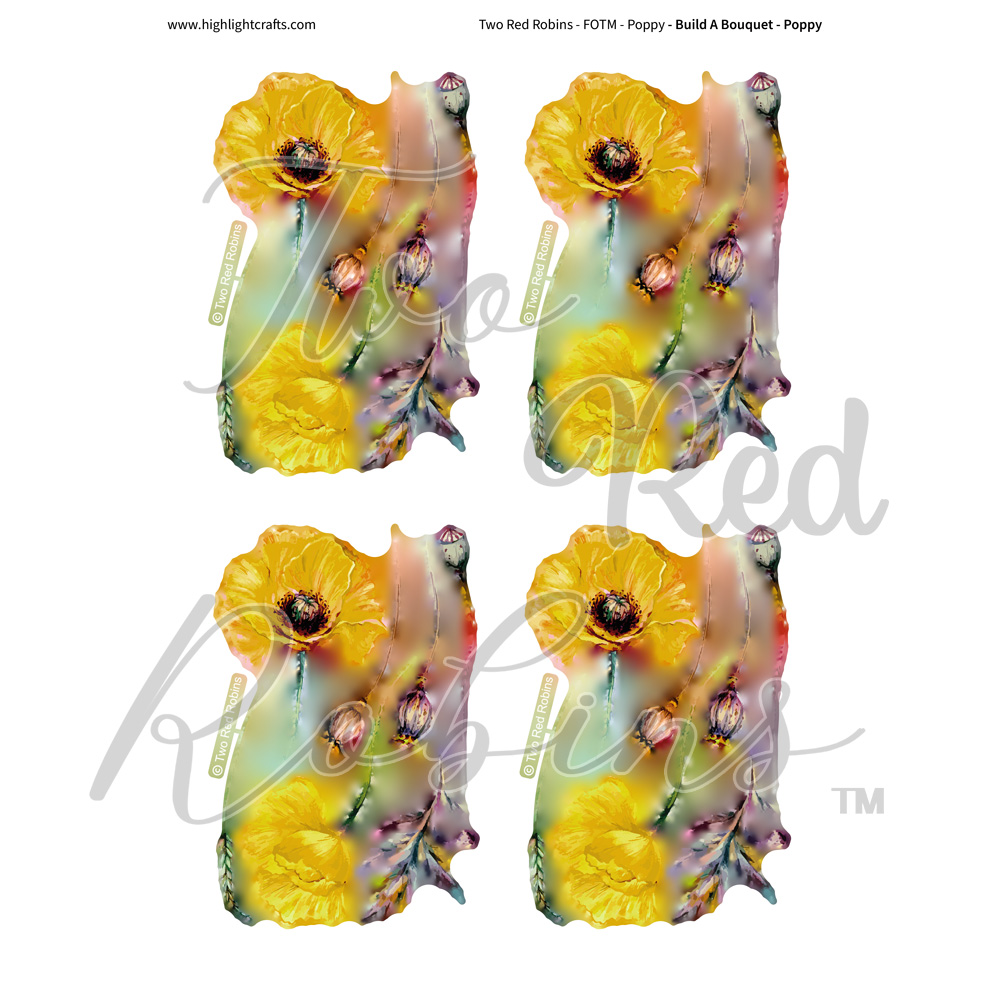 Two Red Robins Build a Bouquet Poppy Reflections Download 03
