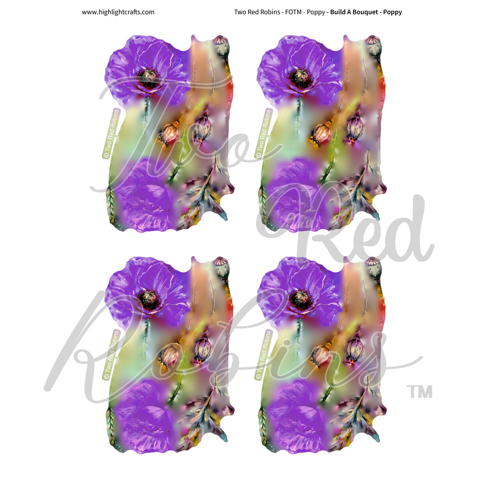Two Red Robins Build a Bouquet Poppy Reflections Download 05