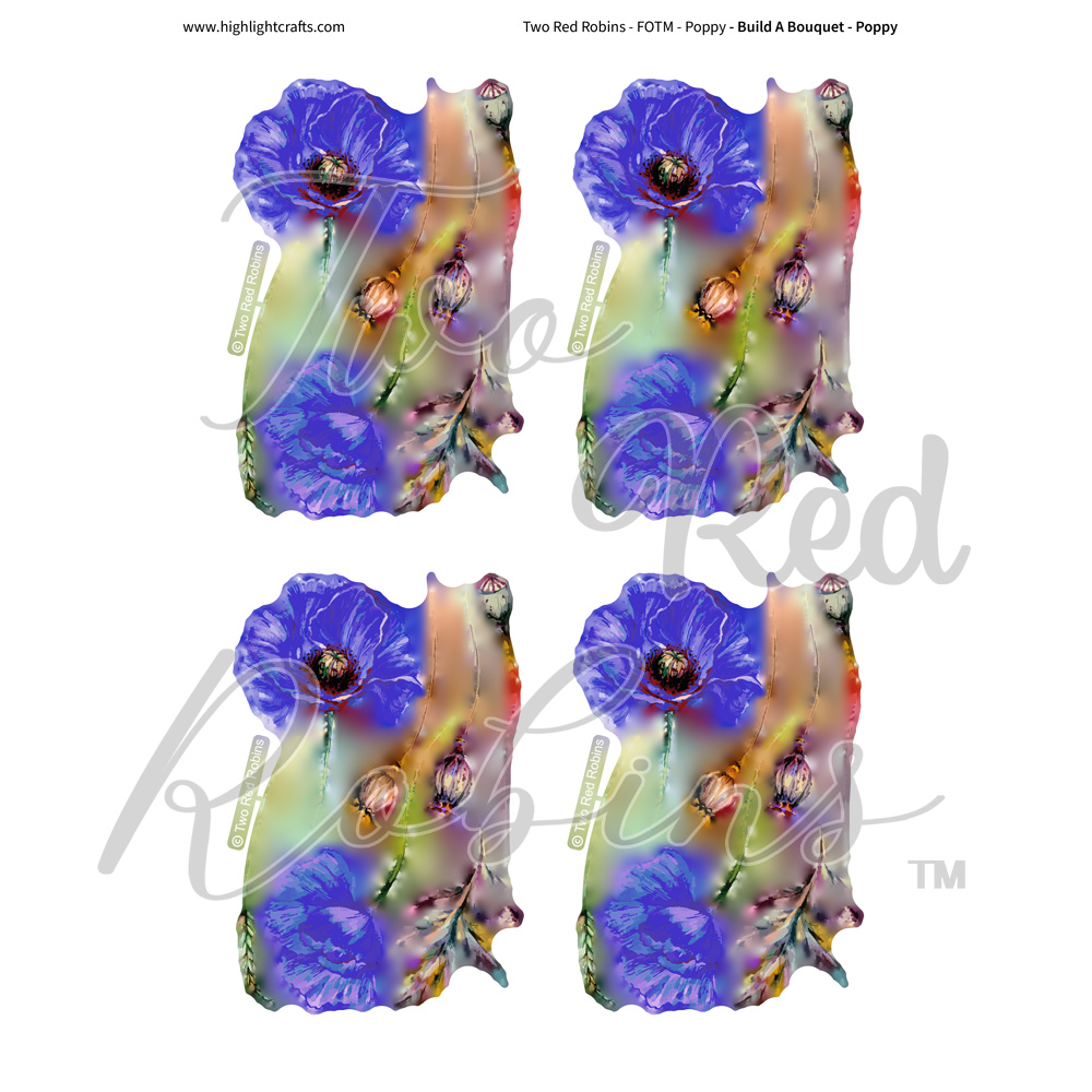 Two Red Robins Build a Bouquet Poppy Reflections Download 06