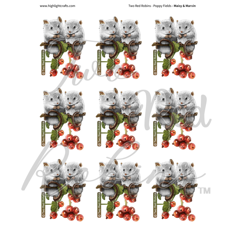 Two Red Robins Maisy & Marvin Reflections Download 2