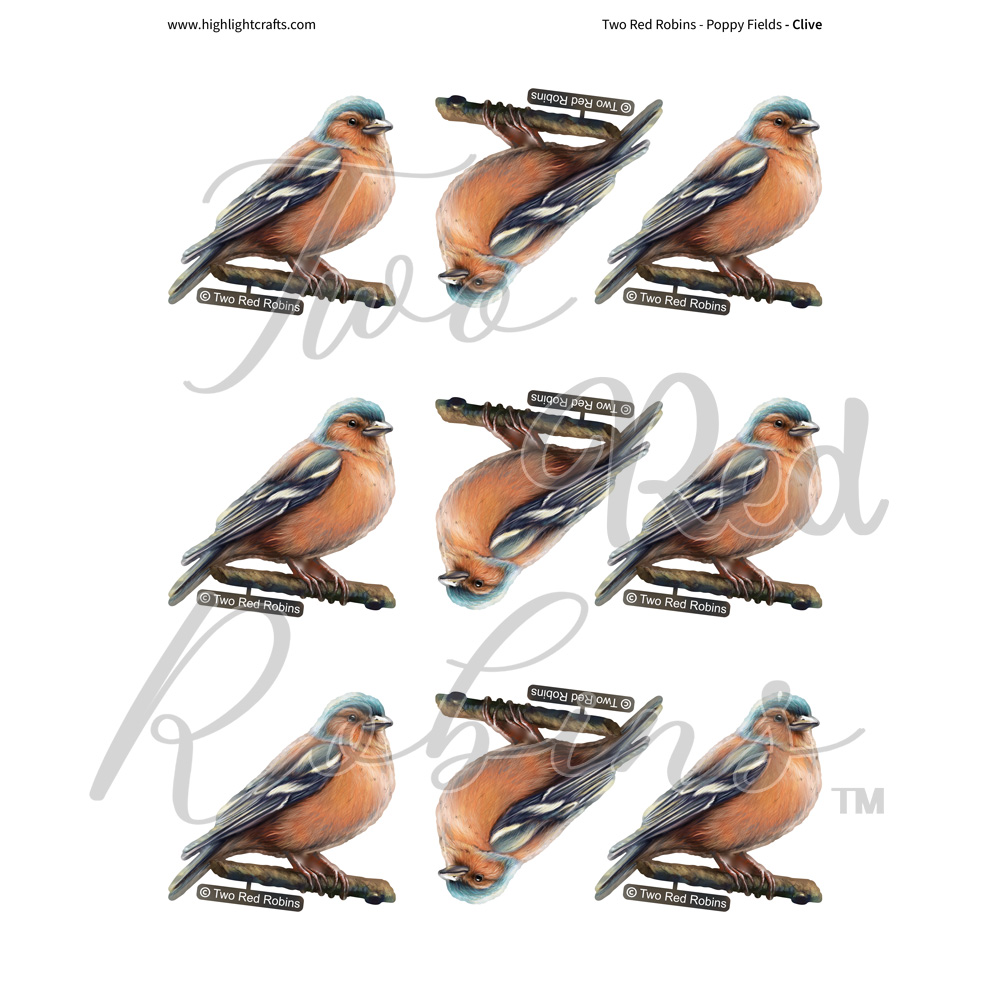 Two Red Robins Clive Reflections Download