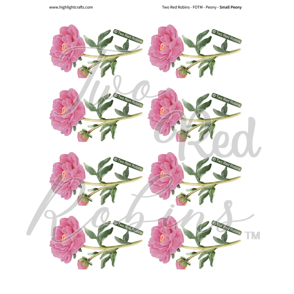 Two Red Robins Small Peony Reflections Download 5