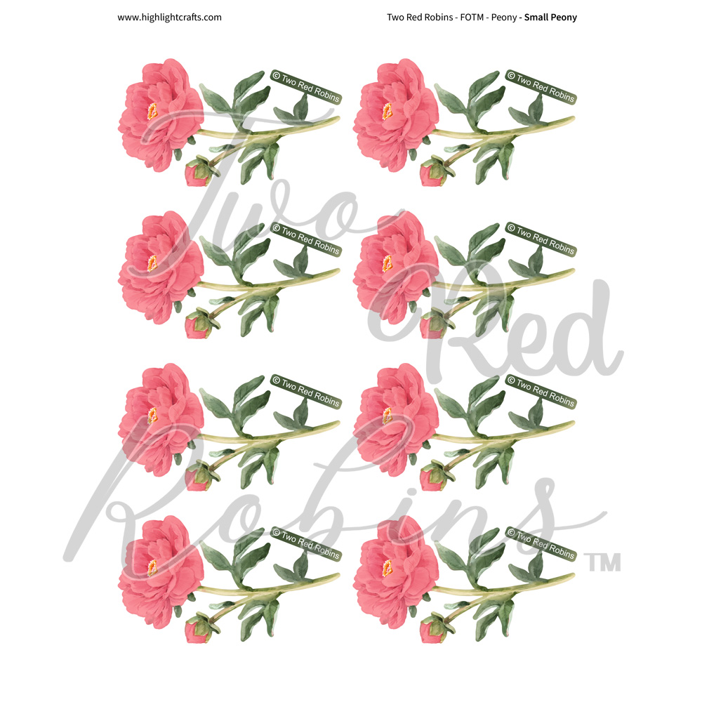 Two Red Robins Small Peony Reflections Download 6