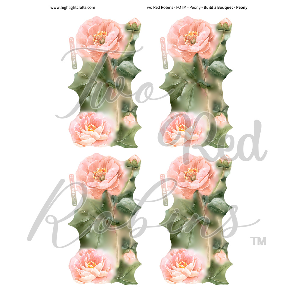 Two Red Robins Build a Bouquet Peony Reflections Download 2