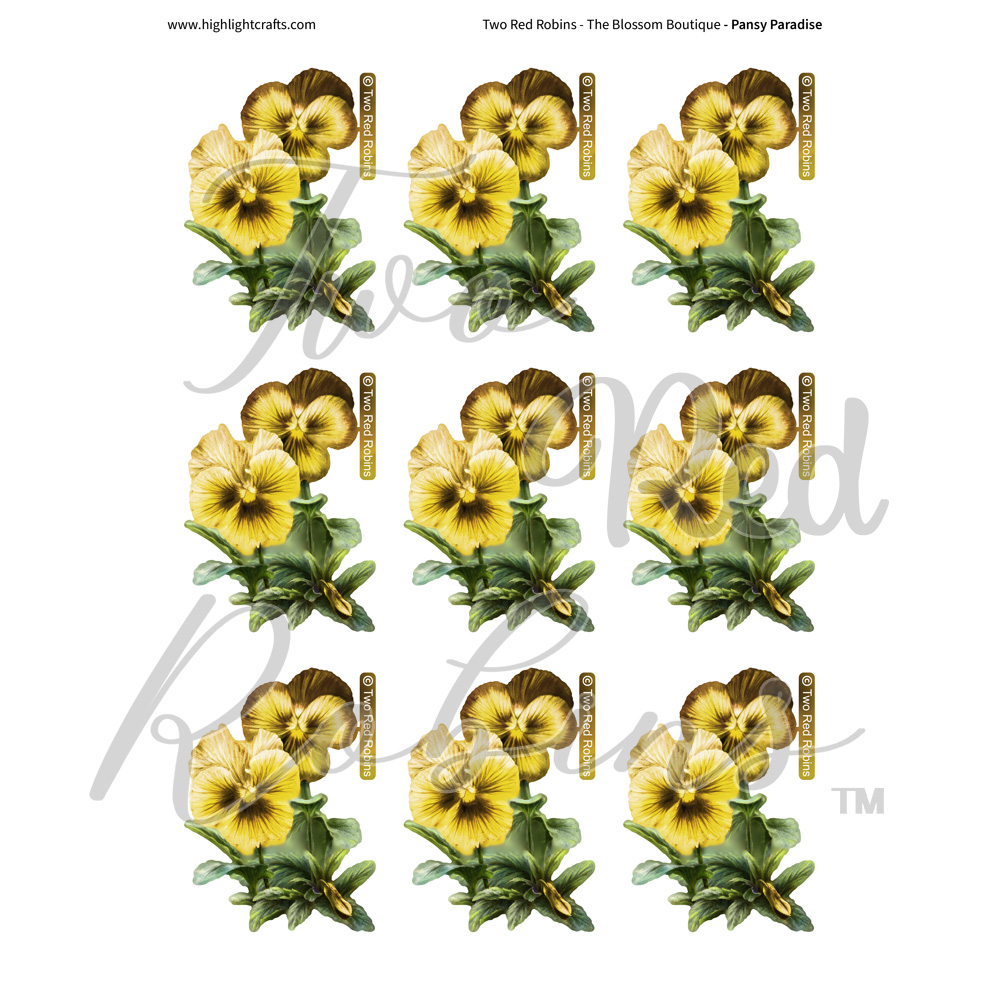 Two Red Robins Pansy Paradise Reflections Download 6