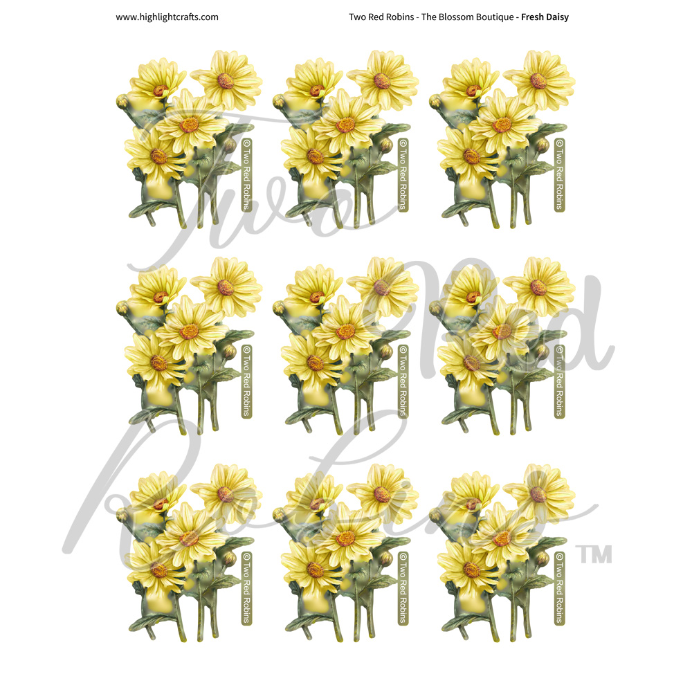 Two Red Robins Fresh Daisy Reflections Download 6