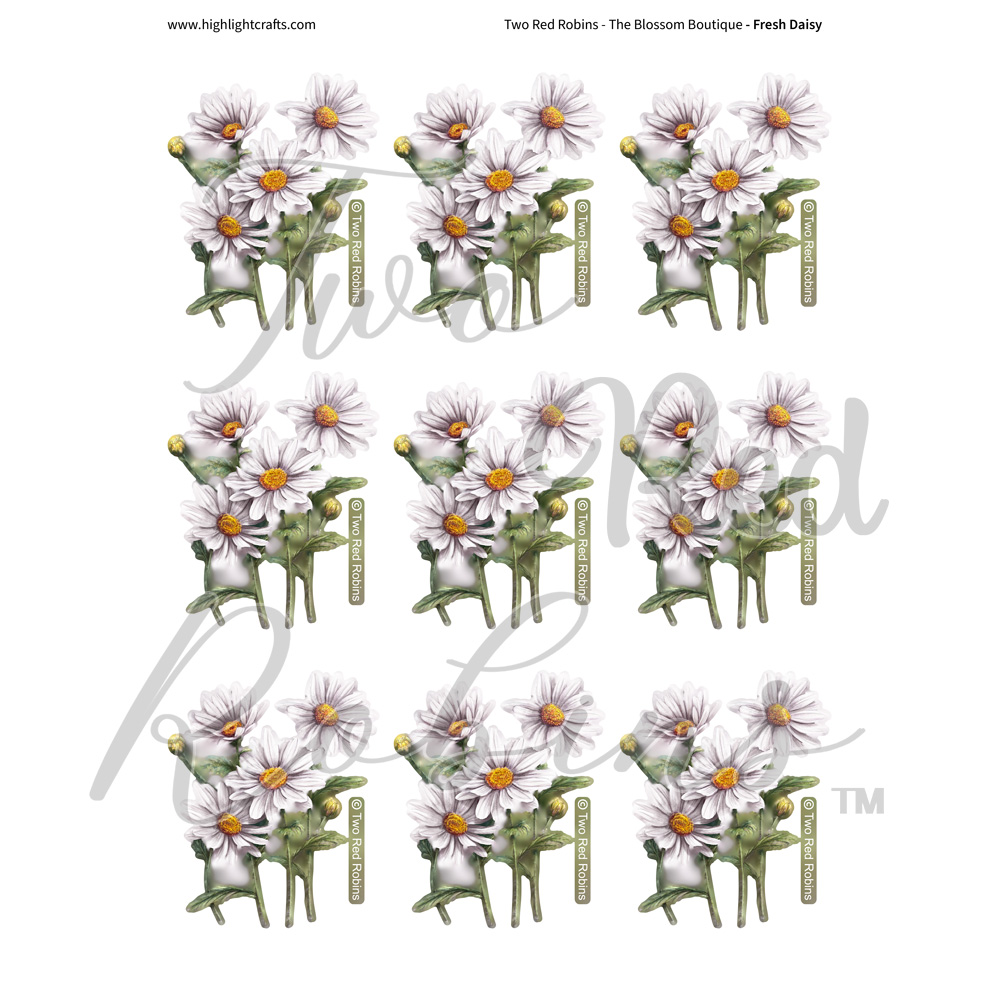 Two Red Robins Fresh Daisy Reflections Download 7