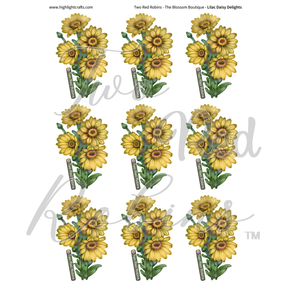 Two Red Robins Lilac Daisy Delights Reflections Download 7