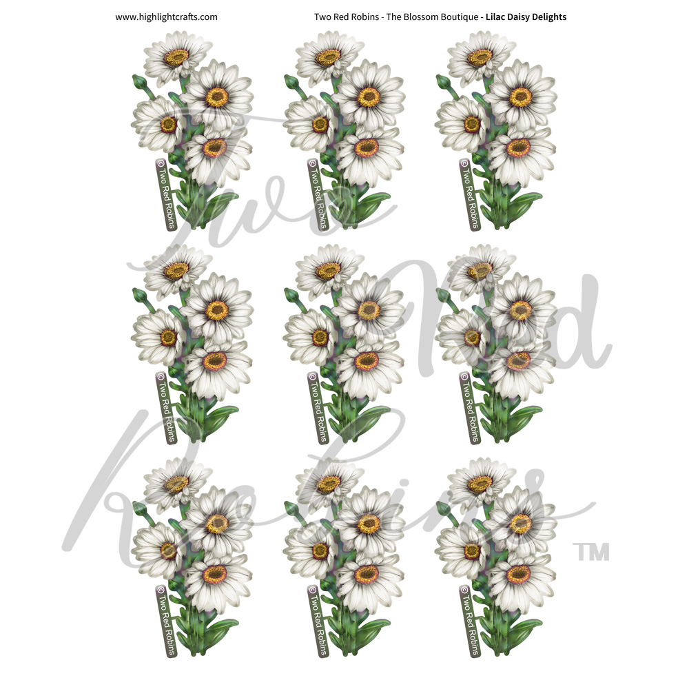 Two Red Robins Lilac Daisy Delights Reflections Download 8