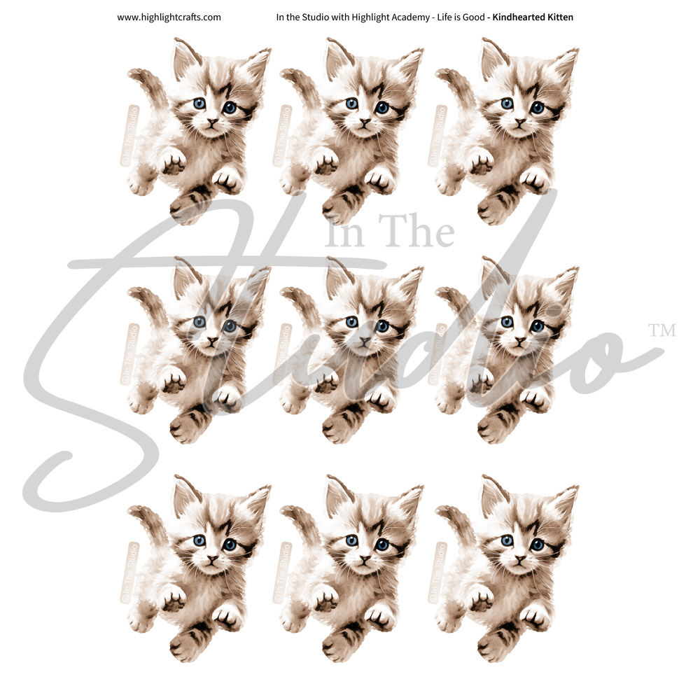 In The Studio Kind-Hearted Kitten Reflections Download 4