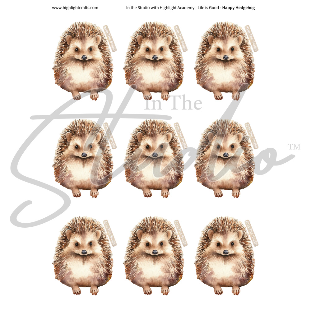 In The Studio Happy Hedgehog Reflections Download 1