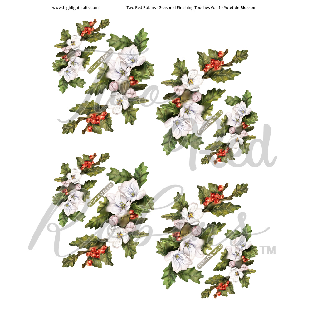 Two Red Robins Yuletide Blossom Reflections Download 3