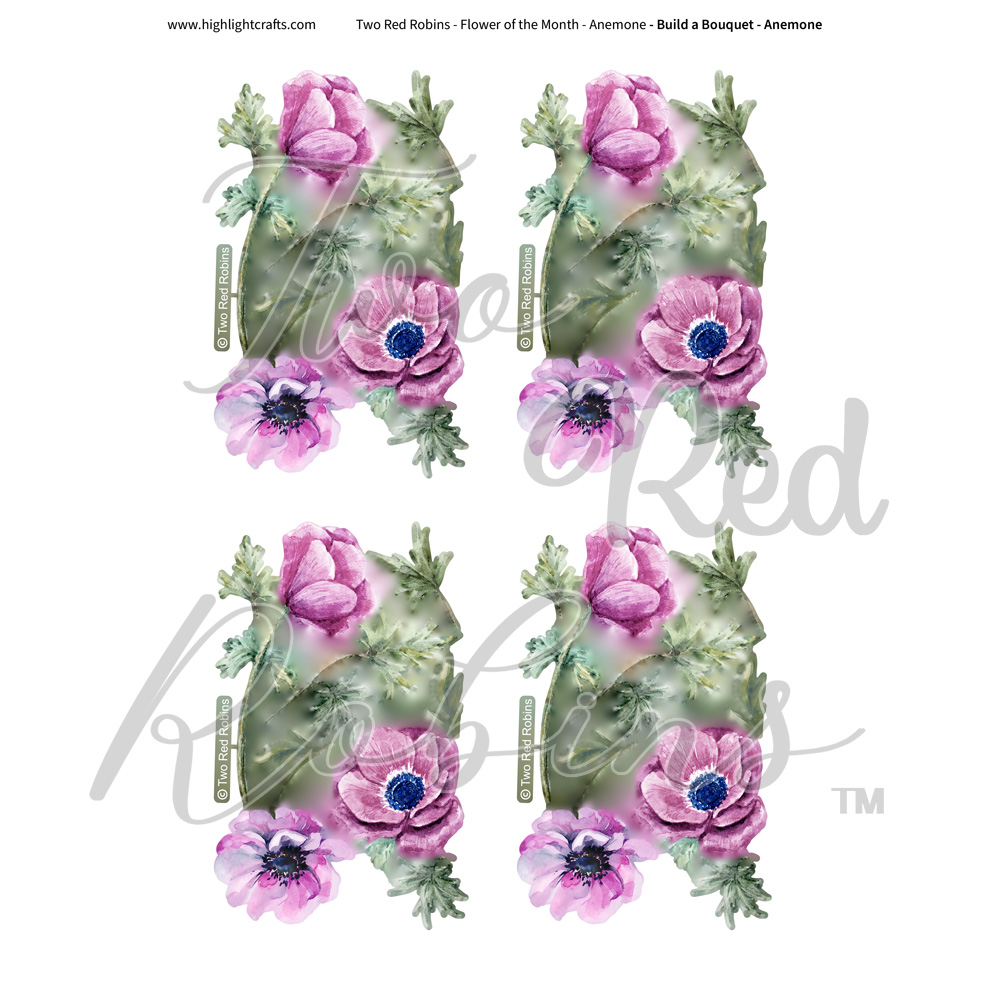 Two Red Robins Build a Bouquet Anemone Reflections Download 04