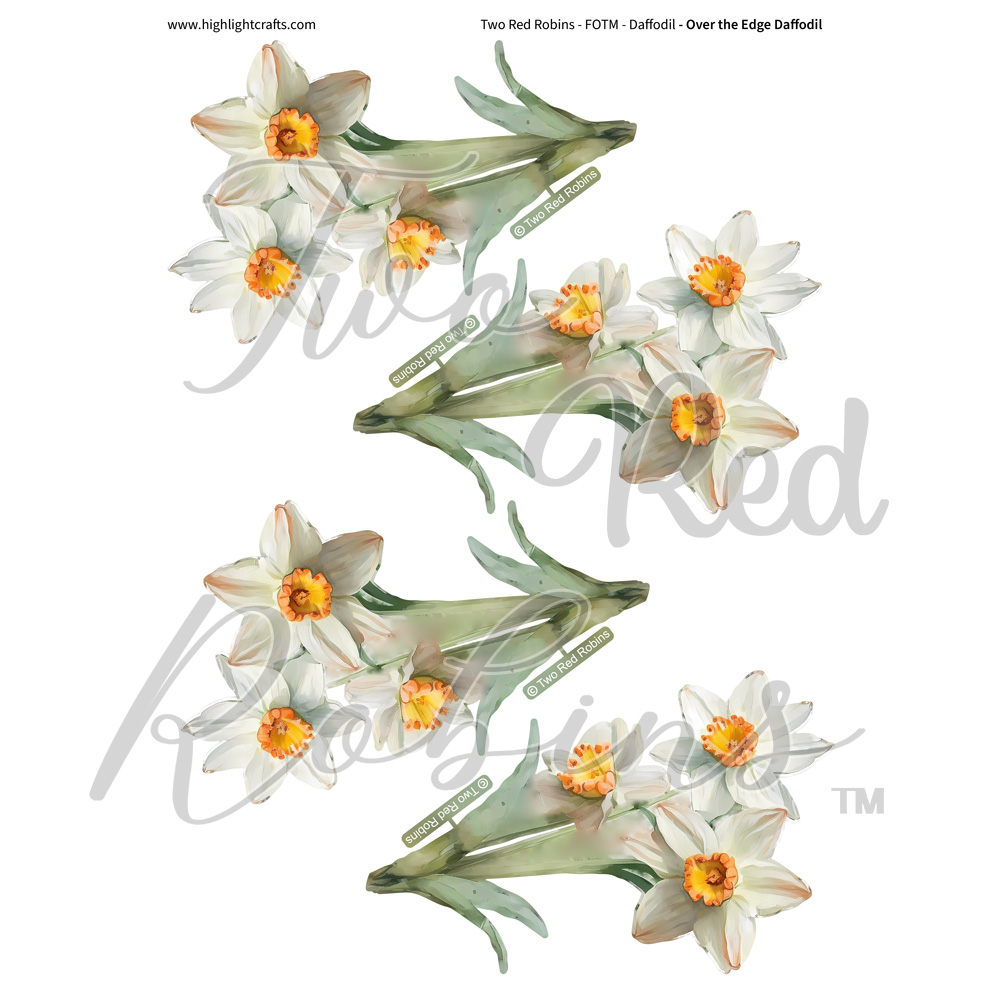 Two Red Robins Over the Edge Daffodil Reflections Download 3