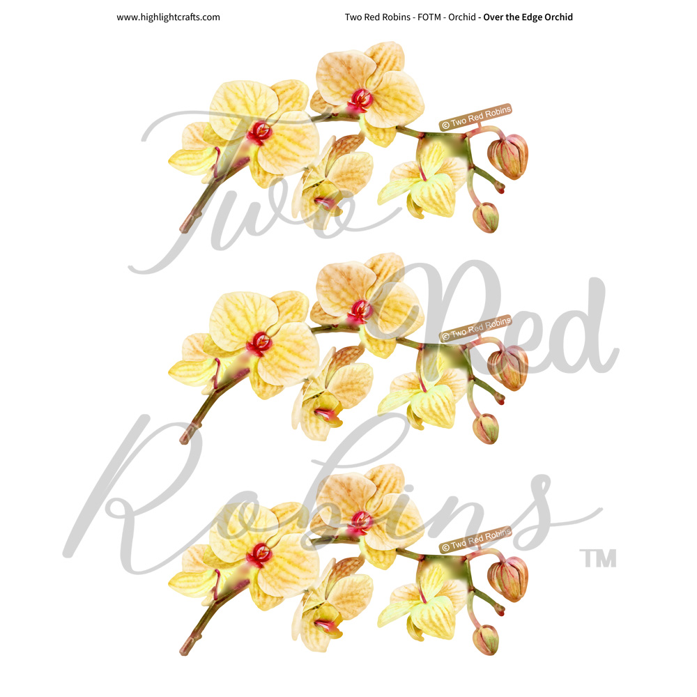 Two Red Robins Over the Edge Orchid Reflections Download 4