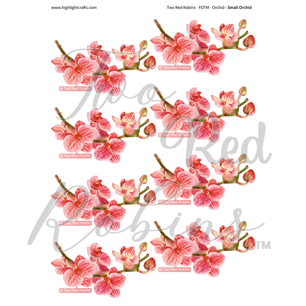 Two Red Robins Small Orchid Reflections Download 2