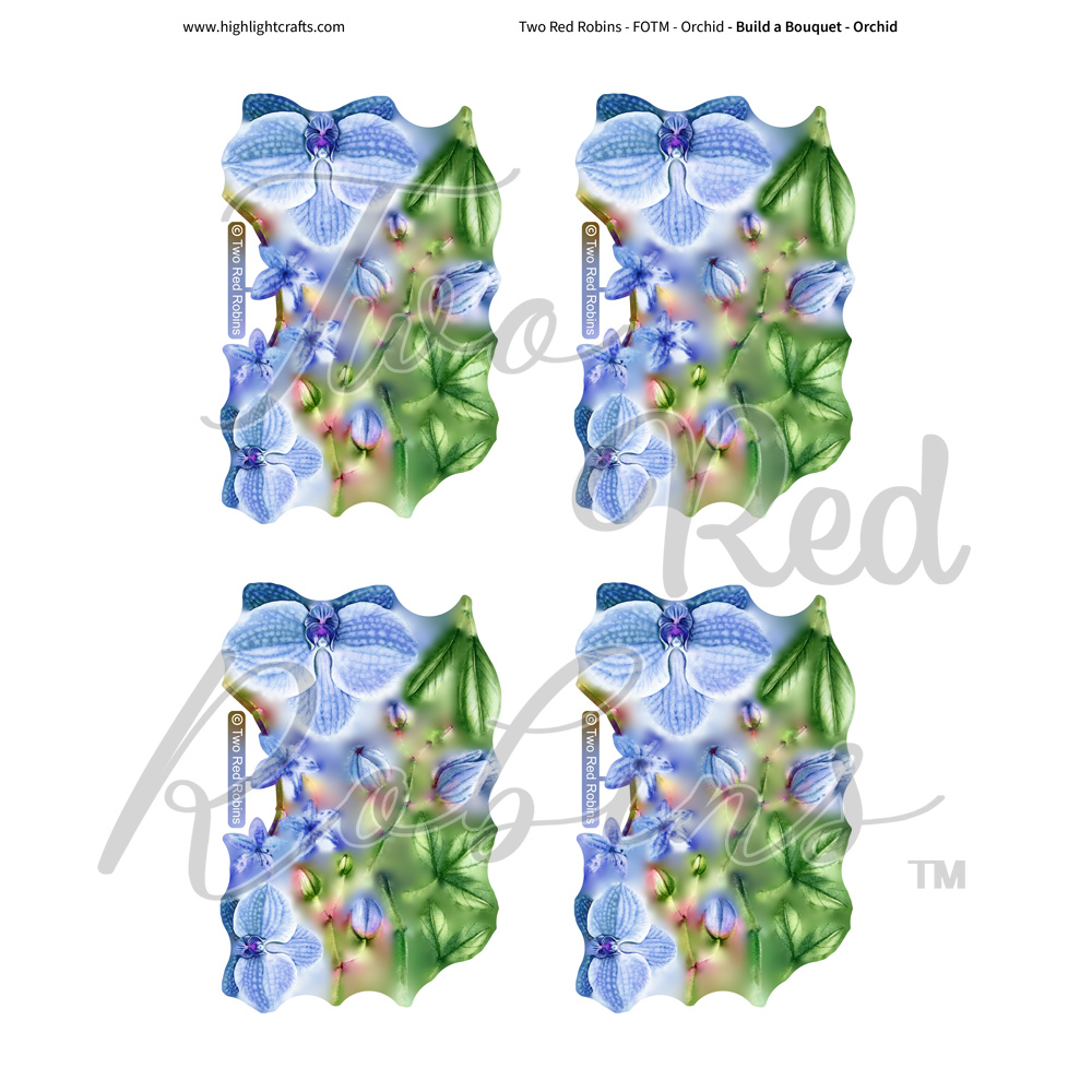 Two Red Robins Build a Bouquet Orchid Reflections Download 6
