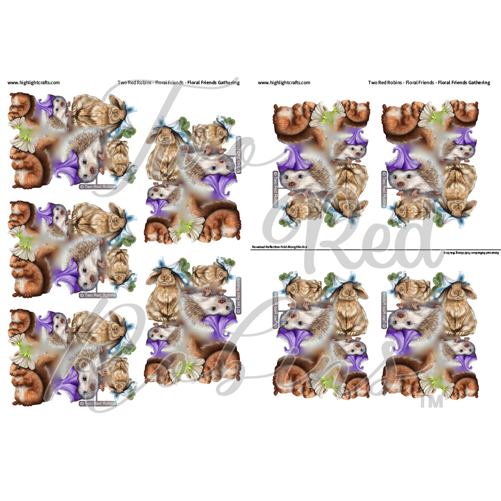 Two Red Robins Floral Friends Gathering Reflections & Reversed Reflections Download 2